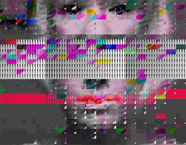 Rosa Menkman, Glitch Art