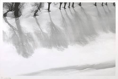 Snow White - Abbas Kiarostami - WikiArt.org