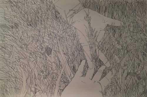 آرتچارت | بدون عنوان از علیرضا بشیری