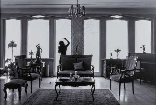 آرتچارت | خانم پروانه شماره ۹ از شادی قدیریان