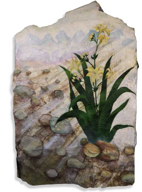 آرتچارت | بدون عنوان از سها درخش