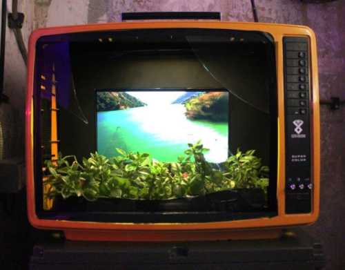 ArtChart | Legacy by Ava Afshari