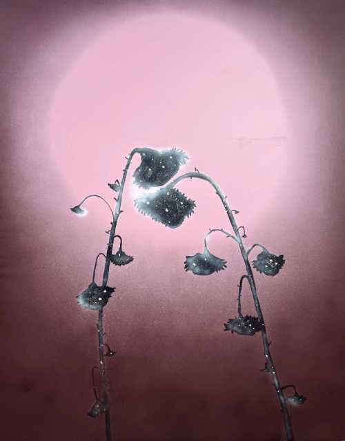 آرتچارت | هم یار همیشگی از سام نجاتی