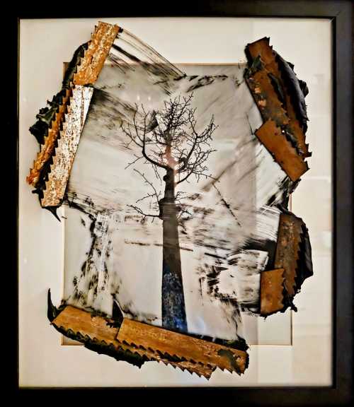 آرتچارت | جنگل زدایی از گلناز لواسانی