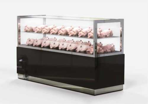 آرتچارت | پرنده از قفس پرید از حمزه فرهادی