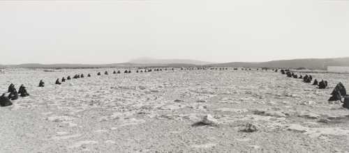 ArtChart | Untitled, from Rapture Series, 1999 by Shirin Neshat