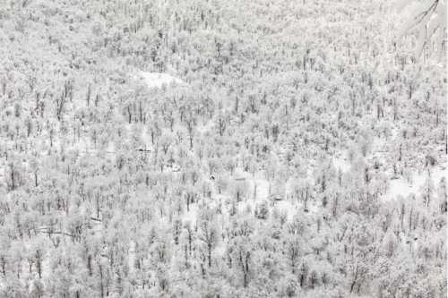 آرتچارت | از مجموعه "روایت یک رویا" از ابراهیم نوروزی