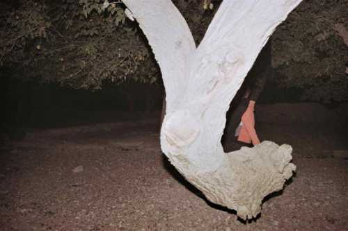 ArtChart | Untitled from the Parallelism of the Severed Organ by Shima Rastin