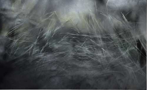 آرتچارت | نگاهی اجمالی به باغ زوال از کیمیا میرزایی