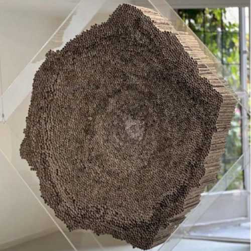 ArtChart | Untitled by Somayeh Bayat