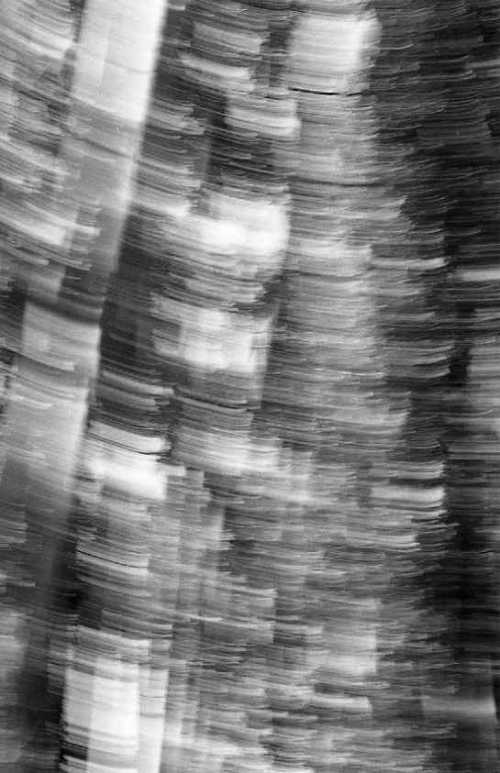 ArtChart | Untitled from the Urbun Toys series by Shima Rastin