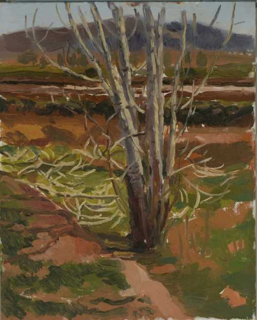 ArtChart | Untitled by Akram Mahmoudi