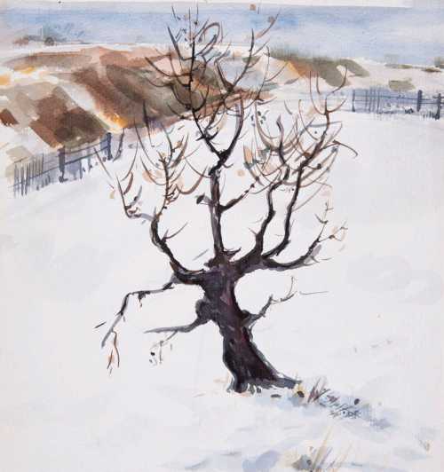 آرتچارت | بدون عنوان از یعقوب امدادیان