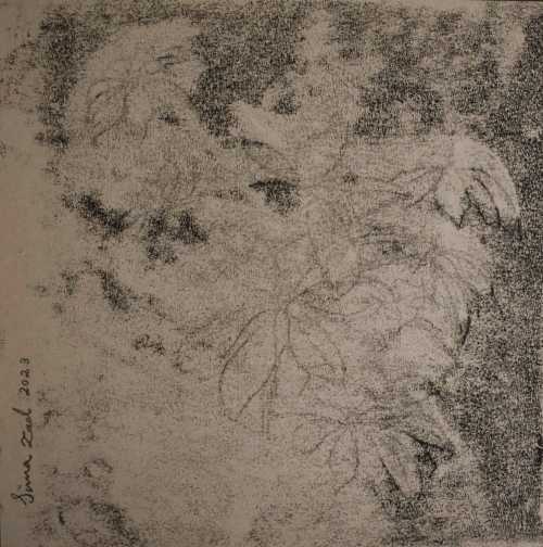 آرتچارت | بدون عنوان از سیما باقرزاده