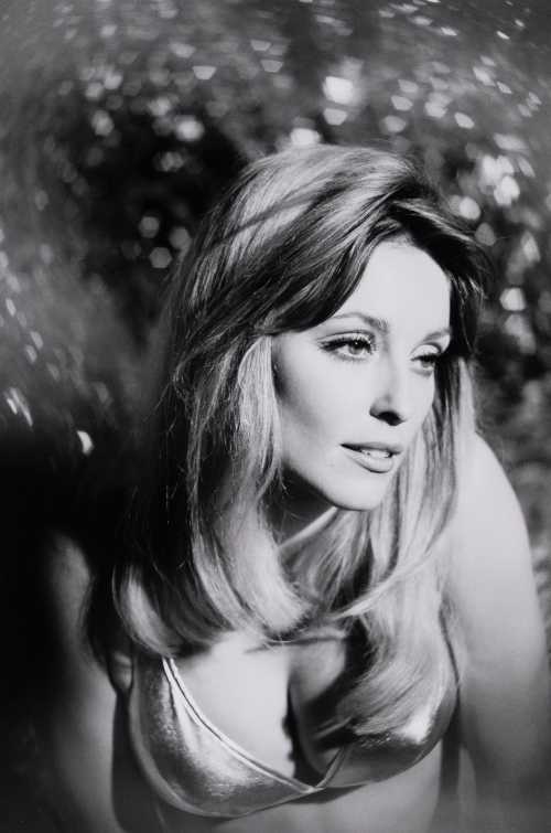 ArtChart | Sharon Tate by Shahrokh Hatami