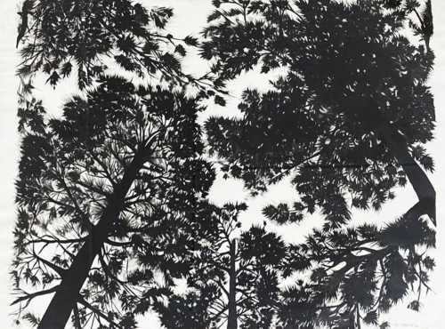 آرتچارت | بدون عنوان از علی ملک