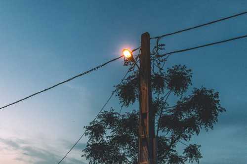 ArtChart | Untitled by Amirhossein Naeima