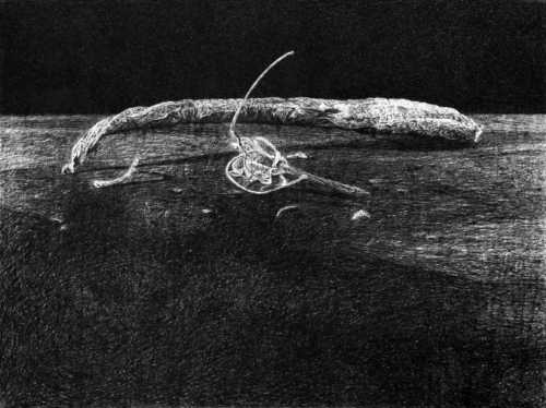 ArtChart | Untitled by Mohammadreza Khalili