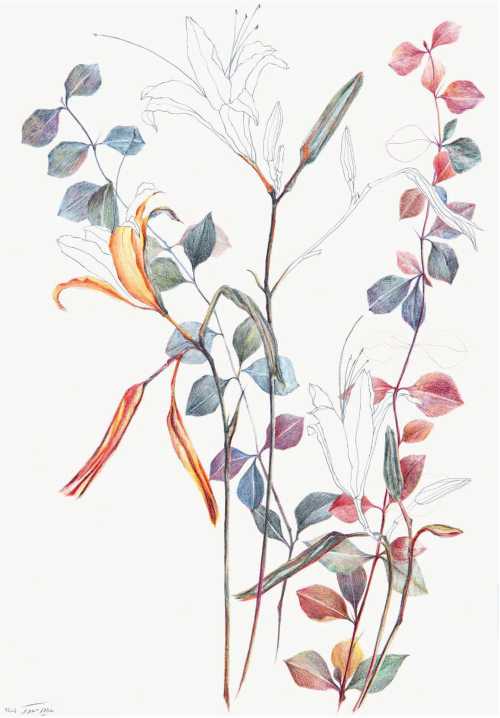 آرتچارت | بدون عنوان از نازیلا مقدم