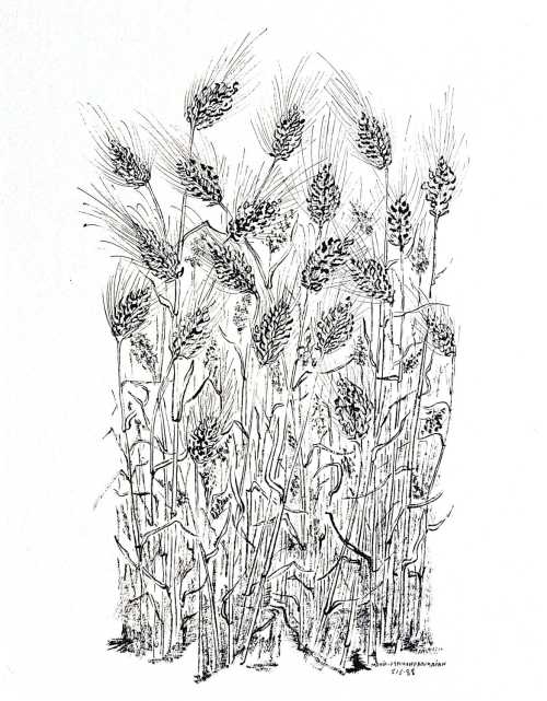 آرتچارت | بدون عنوان از منیر فرمانفرماییان