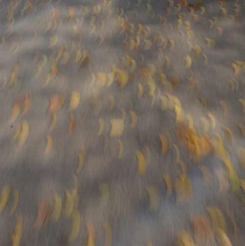 ArtChart | Untitled by Kavian Esmaeili