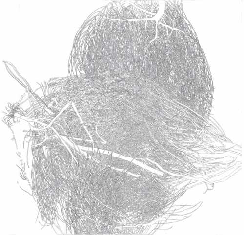 ArtChart | Untitled by Mohadeseh Mohammadi
