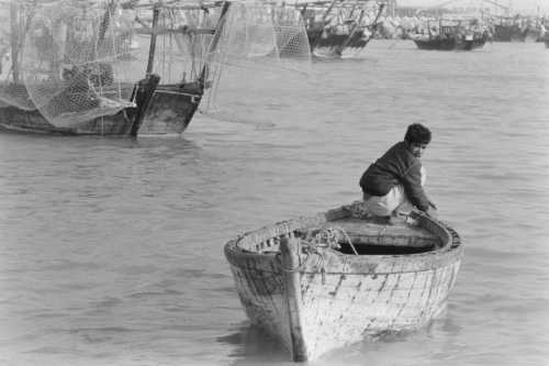 ArtChart | Bushehr, Fishing Pier by Sasan Moayedi