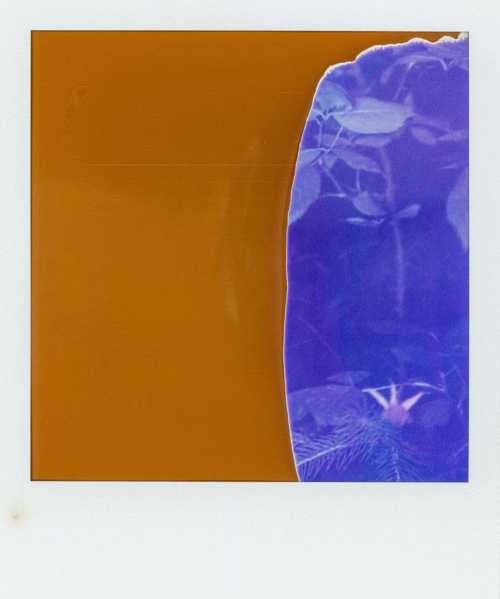 آرتچارت | روز 23 نمایندگی از مهرداد افسری