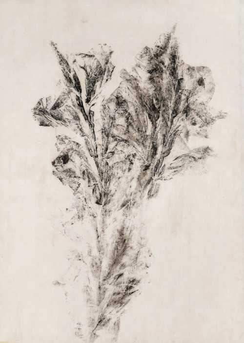 آرتچارت | بدون عنوان از سیما باقرزاده