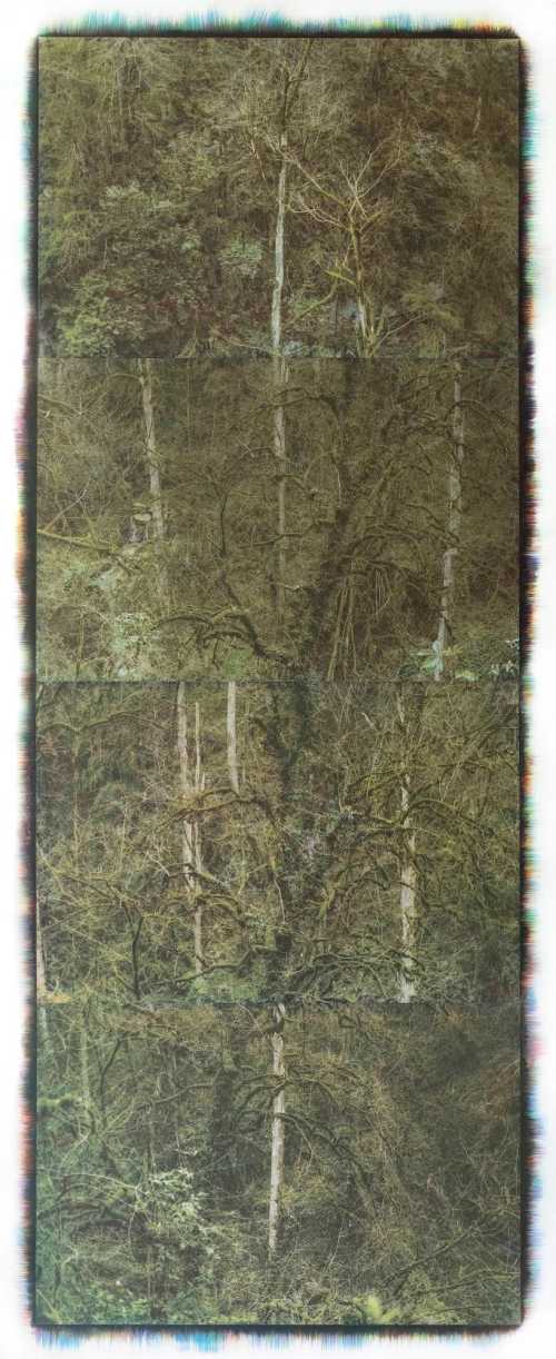 آرتچارت | بدون عنوان از مهرعلی رزاق‌منش