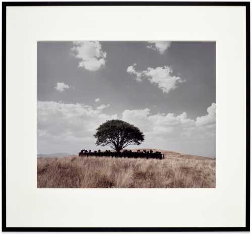 ArtChart | Untitled (Tooba) by Shirin Neshat
