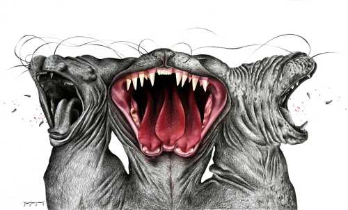 آرتچارت | بدون عنوان از آذین رستمی