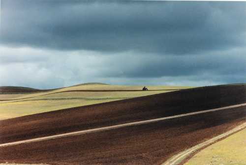 ArtChart | Untitled by Abbas Kiarostami