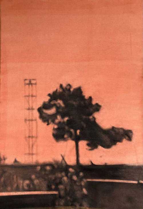 آرتچارت | درختان خارج از کانون 11 از مهرناز میری