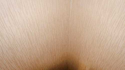 آرتچارت | بدون عنوان از ساعده دوست‌بخیر