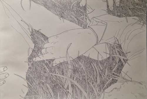 آرتچارت | بدون عنوان از علیرضا بشیری