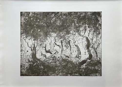 آرتچارت | بدون عنوان از شیوا سرلک