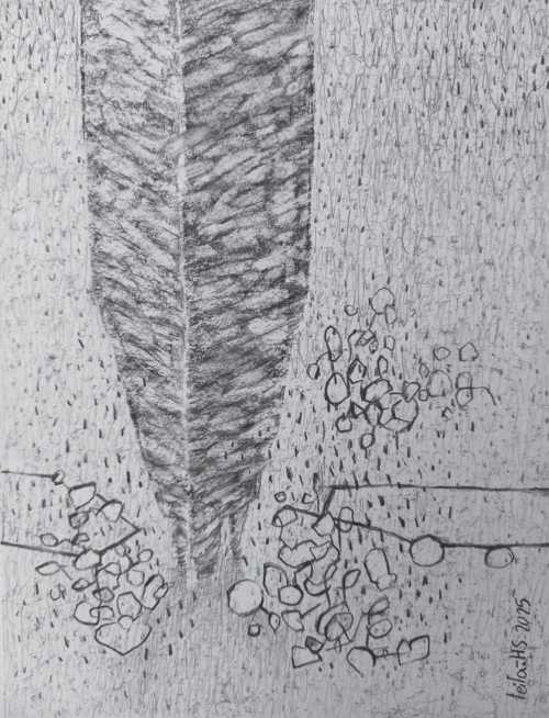 ArtChart | Untitled by Leila Hosseinzadeh