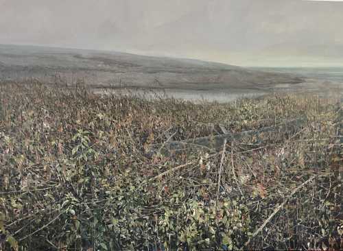 آرتچارت | لوتکا 4 از عباس نسل شاملو