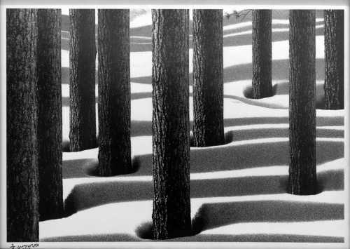 ArtChart | Untitled by Abbas Kiarostami