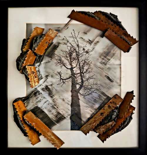 ArtChart | Deforestation by Golnaz Lavasani