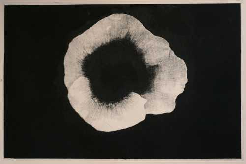 ArtChart | Untitled by Shahin Esfandiari