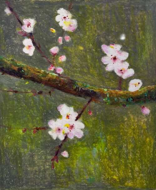 آرتچارت | شکوفه‌های بهاری از شاهو بابایی