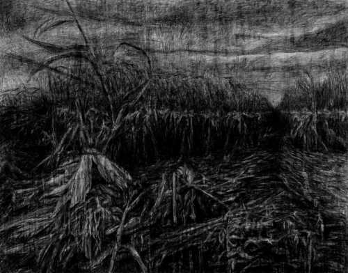 ArtChart | Untitled by Mohammadreza Khalili