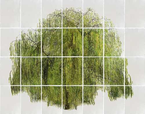 آرتچارت | بدون عنوان از مهرعلی رزاق‌منش