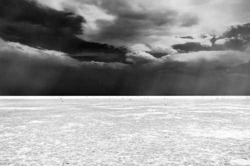 آرتچارت | از مجموعه "روایت یک رویا" از ابراهیم نوروزی