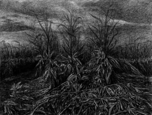 ArtChart | Untitled by Mohammadreza Khalili