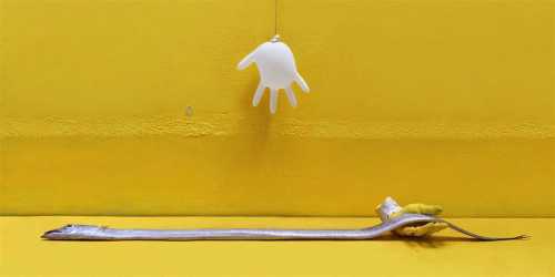 ArtChart | Untitled by Maziar Mokhtari