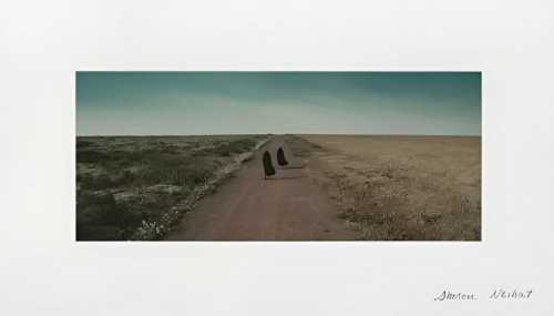 ArtChart | Women Without Men #1 by Shirin Neshat