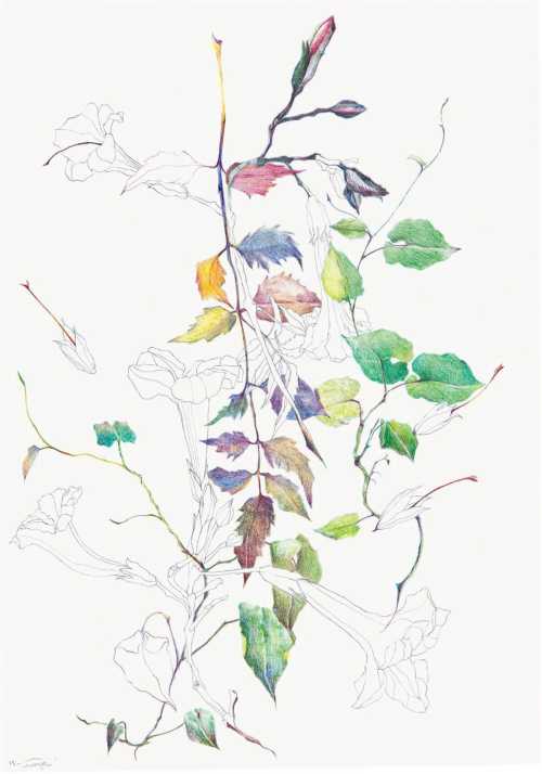 آرتچارت | بدون عنوان از نازیلا مقدم